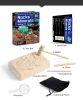 Gemstone Dig Kit DIY Activity STEM Educational Science Toys Excavate 5 Real Crystals STEM Educational Toys Science Kits Rock And Geology Party Favors